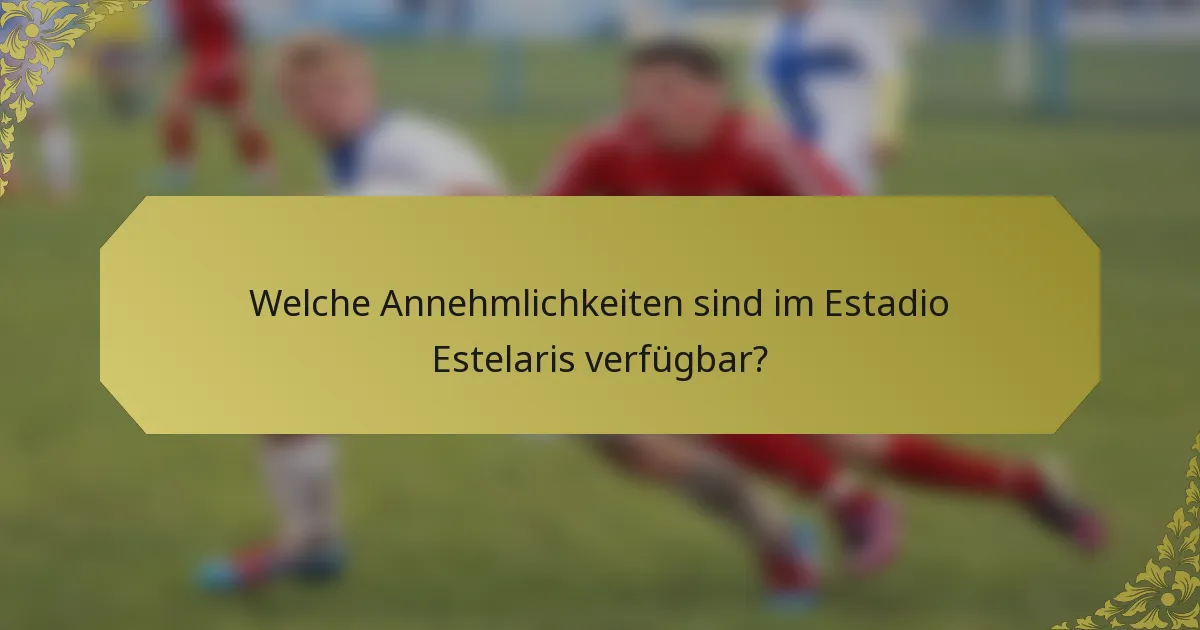 Welche Annehmlichkeiten sind im Estadio Estelaris verfügbar?
